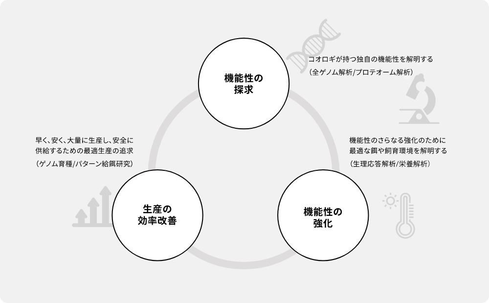 機能性の探求 機能性の強化 生産の効率改善