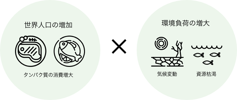 世界人口の増加 x 環境負荷の増加